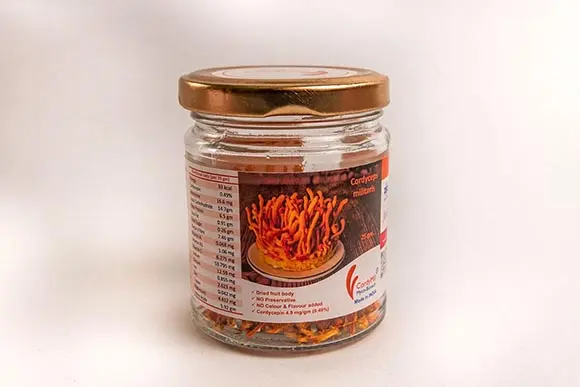 CordyMil Cordyceps militaris 25g premium pack