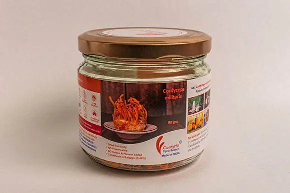 CordyMil Cordyceps militaris 50g bulk value pack