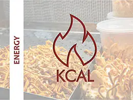 Cordyceps militaris energy value lab analysis – CordyMil nutritional test report