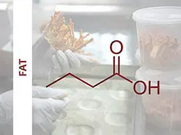 Cordyceps militaris fat content lab analysis – CordyMil nutritional test report