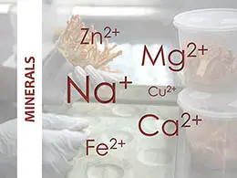 CordyMil minerals and nutritional profile