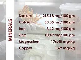 CordyMil minerals and nutritional profile
