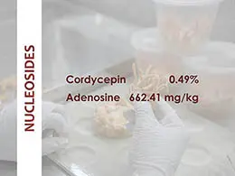 Cordyceps militaris nucleosides lab report – Cordycepin & Adenosine