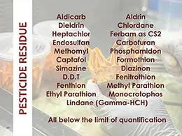 Pesticide residue test report Cordyceps militaris