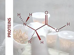 CordyMil protein profile tested by NABL-accredited labs