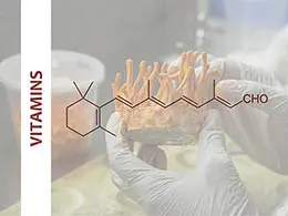 Cordyceps militaris vitamin content lab report
