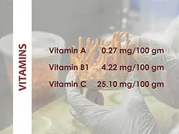Cordyceps militaris vitamin content lab report